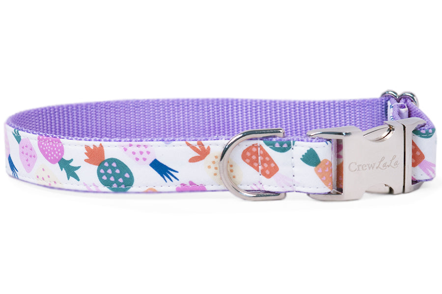 Island Party Belle Bow Dog Collar - Crew LaLa