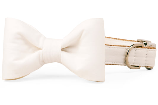 Ivory Bow Tie Dog Collar - Crew LaLa