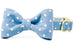 Ivory Dot on Dusty Blue Bow Tie Dog Collar - Crew LaLa