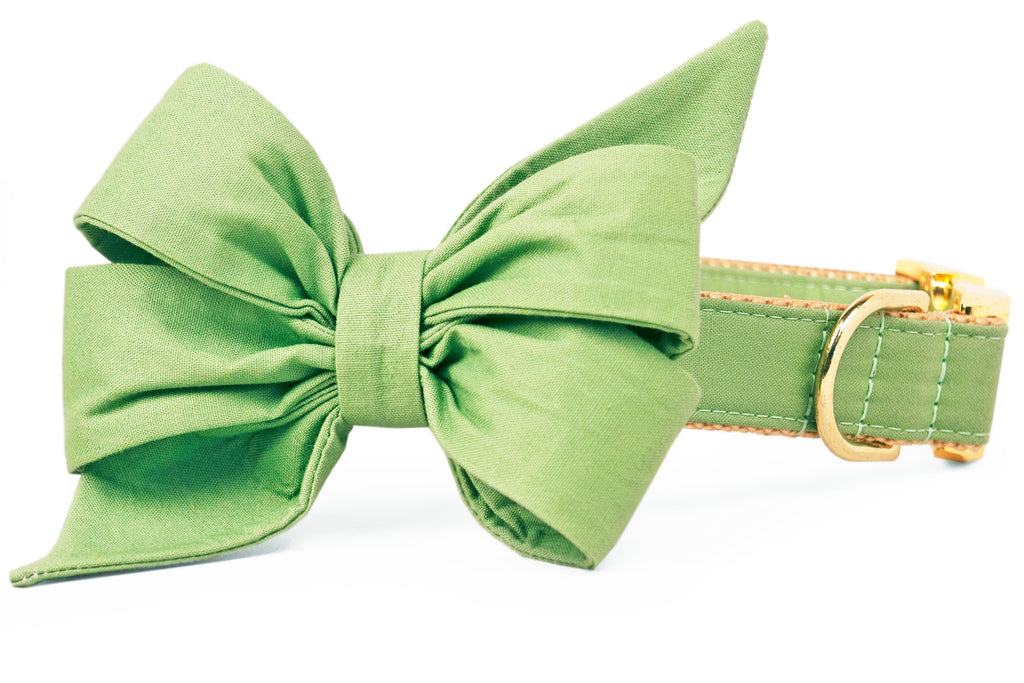 Laurel Green Belle Bow Dog Collar - Crew LaLa