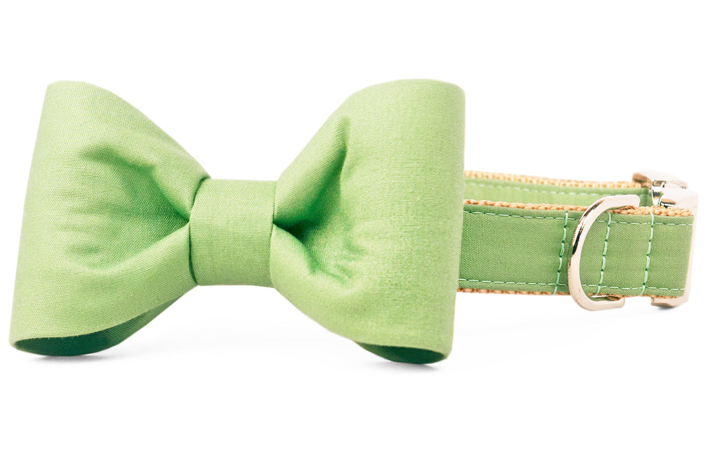 Laurel Green Bow Tie Dog Collar - Crew LaLa