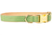 Laurel Green Belle Bow Dog Collar - Crew LaLa