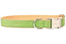 Laurel Green Belle Bow Dog Collar - Crew LaLa