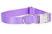 Lavender Webbing Collar