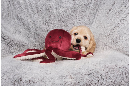 Fluff & Tuff™ "Olympia the Octopus" Dog Toy - Crew LaLa