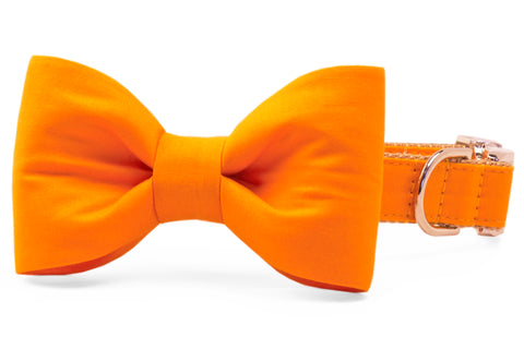 Orange Bow Tie Dog Collar - Crew LaLa