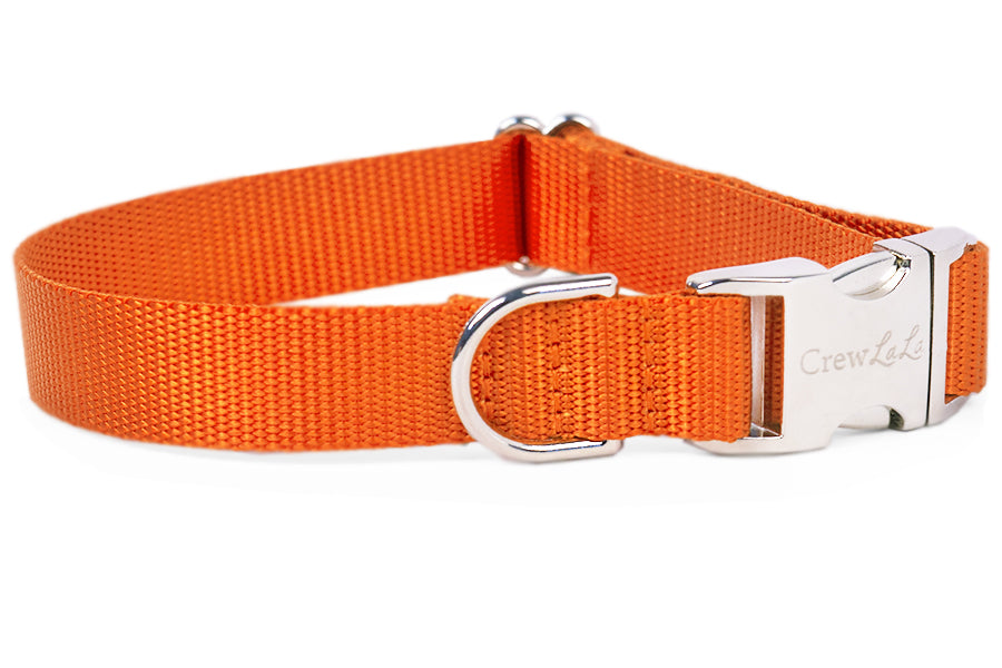Orange nylon dog sales collar