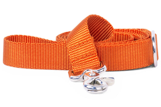 Orange Webbing Leash - Crew LaLa