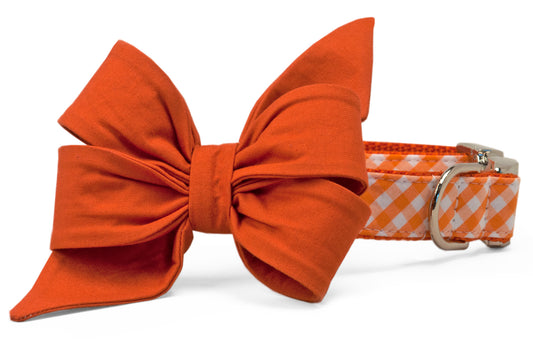 Texas Burnt Orange on Orange Check Belle Bow Dog Collar - Crew LaLa
