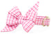 Palmer Pink Gingham Belle Bow Dog Collar