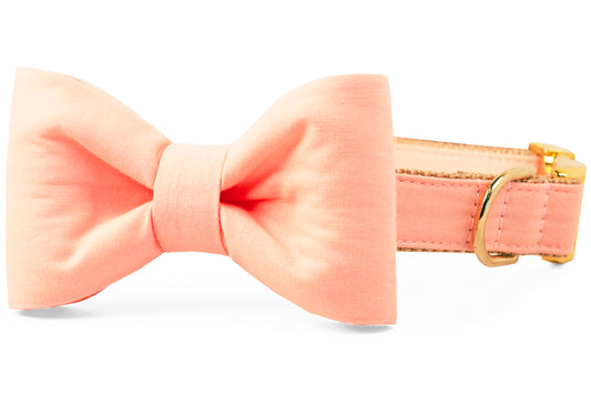 Peach Bow Tie Dog Collar - Crew LaLa