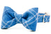 Steamboat Flannel Bow Tie Dog Collar - Crew LaLa