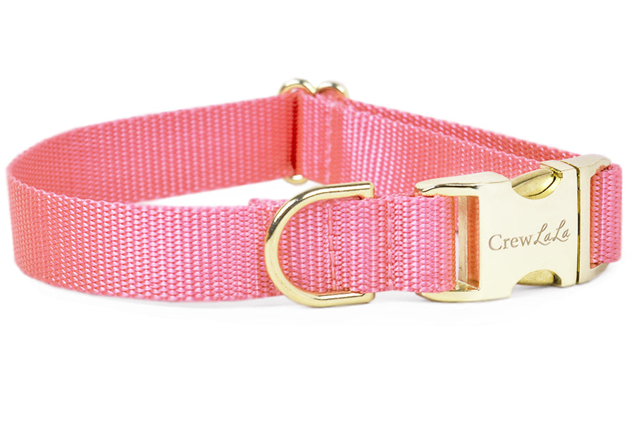 Pretty Pink Webbing Collar