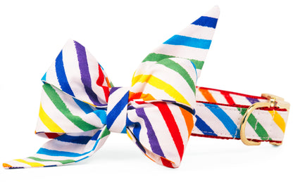 Proud Rainbow Belle Bow™ Dog Collar - Two Styles! - Crew LaLa