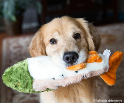 Fluff & Tuff™ "Ruby the Rainbow Trout" Dog Toy - Crew LaLa