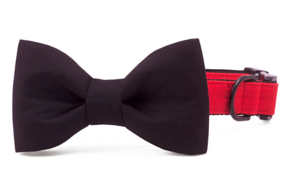 Build Your Own Game Day Bow Tie Dog Collar - Crew LaLa