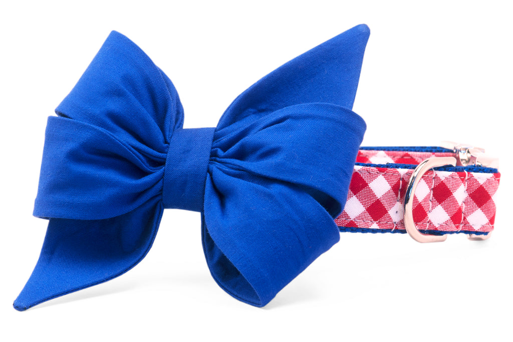 Bills Royal Blue on Red Check Belle Bow Dog Collar - Crew LaLa
