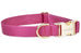 Rose Webbing Collar