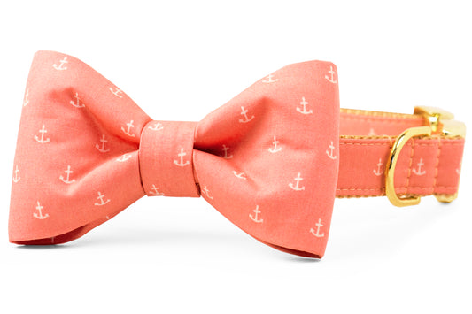 Rose Anchors Bow Tie Dog Collar - Crew LaLa