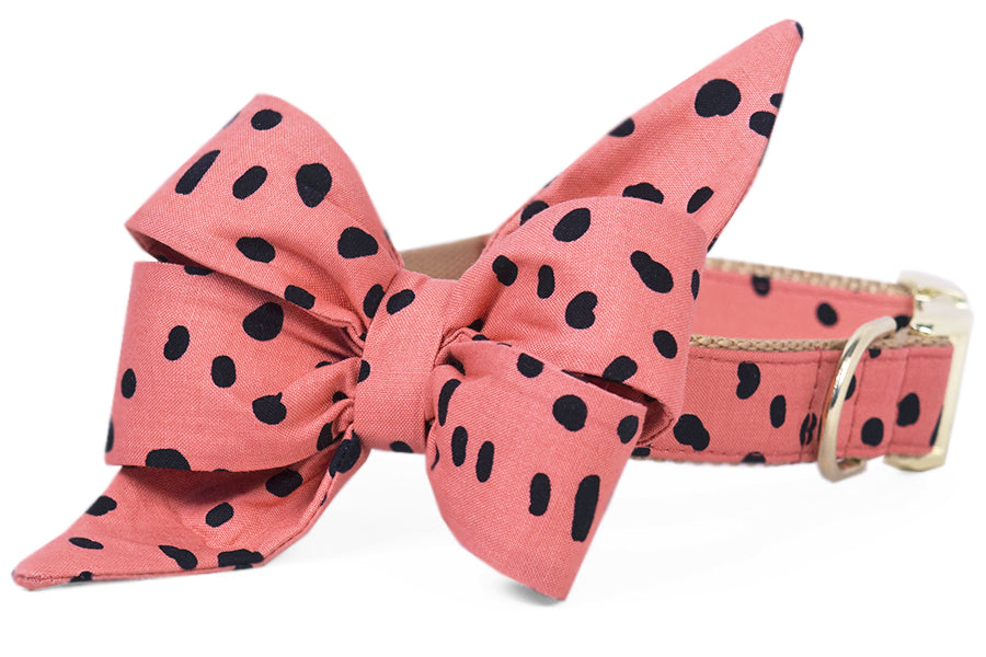 Rosy Pebbles Belle Bow Dog Collar - Crew LaLa