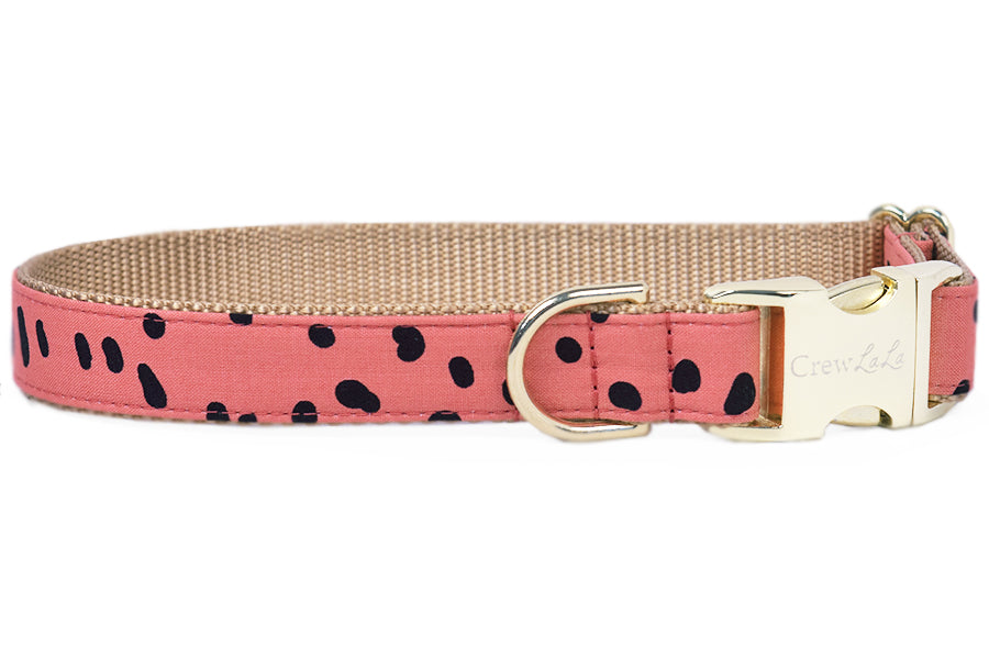 American Made Dog Collars, Bow Ties, Girl Bows, & Leashes– Crew LaLa