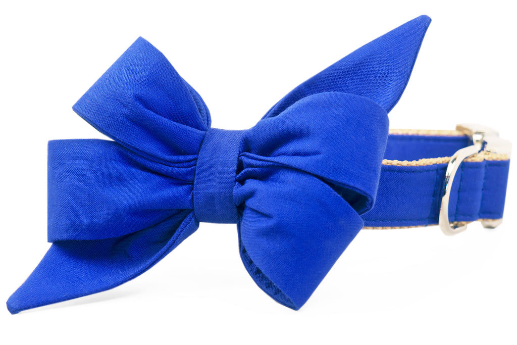 Royal Blue Belle Bow Dog Collar - Crew LaLa