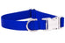 Royal Blue Webbing Collar
