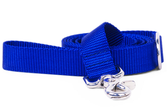 Royal Blue Webbing Leash - Crew LaLa