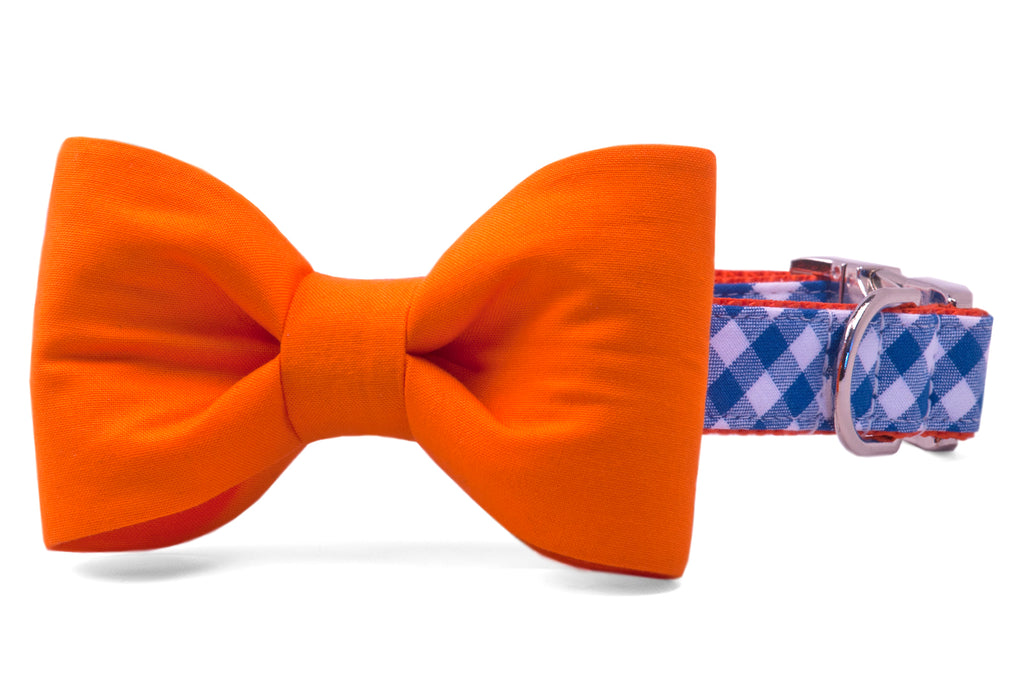 Florida Orange on Royal Blue Check Bow Tie Dog Collar - Crew LaLa