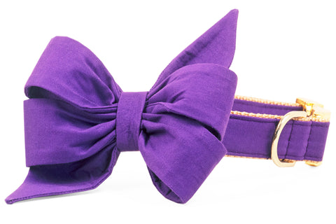 Royal Purple Belle Bow Dog Collar - Crew LaLa