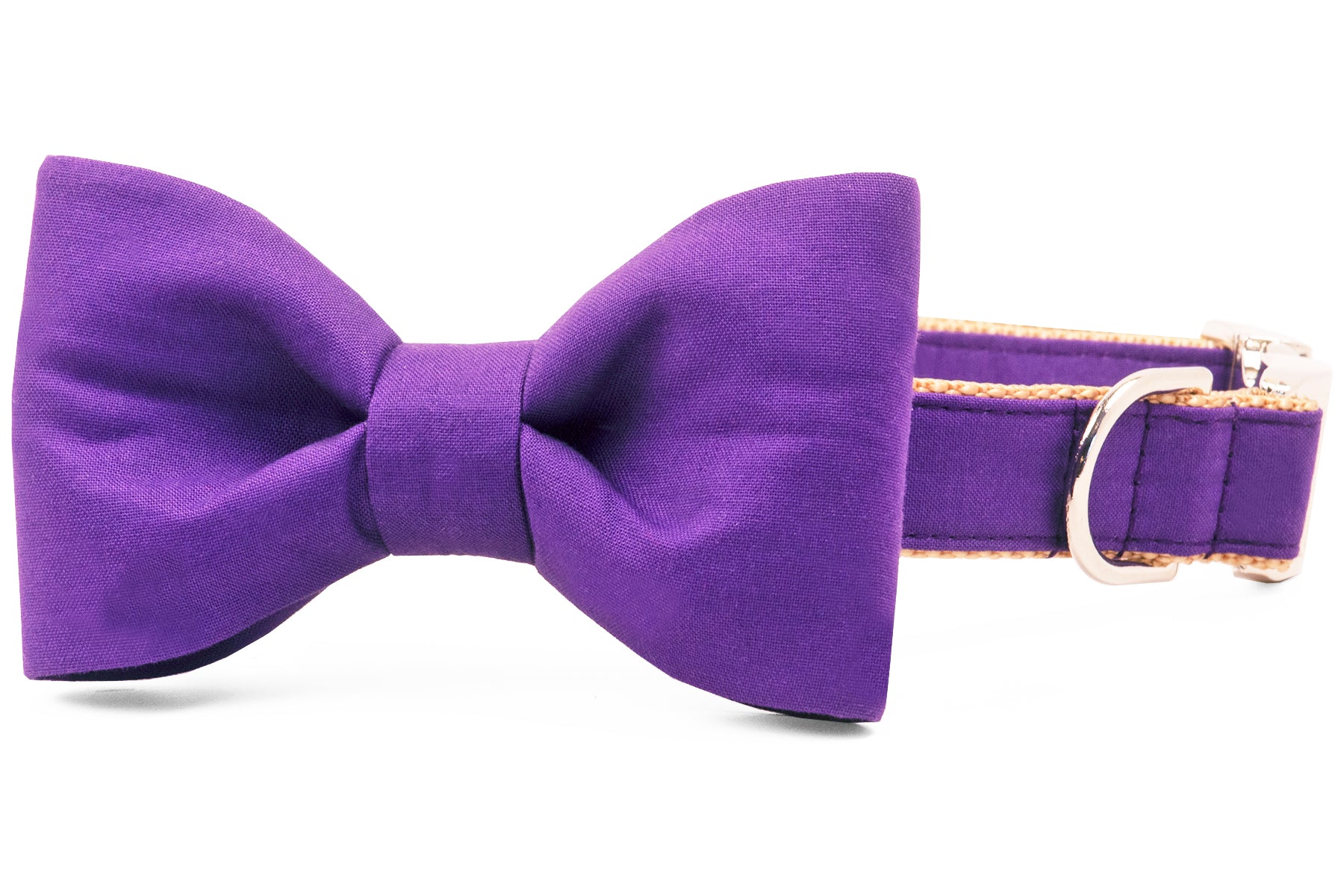 Royal Purple Bow Tie Dog Collar - Crew LaLa