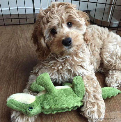 Fluff & Tuff™ "Savannah the Baby Gator" Dog Toy - Crew LaLa