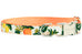 Sweet Clementines Bow Tie Dog Collar