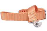 Tangerine Webbing Dog Leash