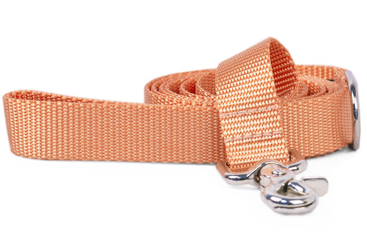 Tangerine Webbing Leash - Crew LaLa