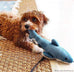 Fluff & Tuff™ "Tank the Shark" Dog Toy - Crew LaLa