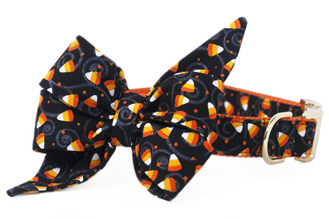 Trick Or Treat Belle Bow Dog Collar