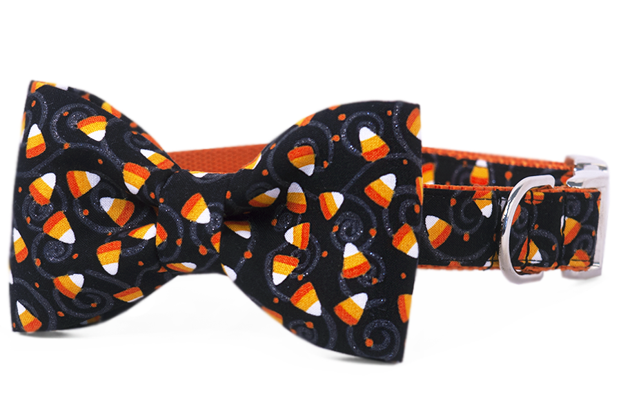 Trick or Treat Bow Tie Dog Collar