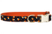 Trick or Treat Bow Tie Dog Collar