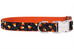 Trick Or Treat Belle Bow Dog Collar