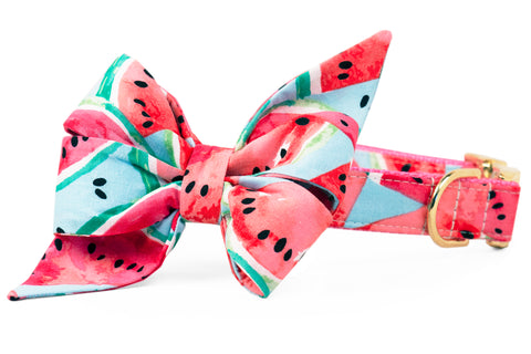 Watercolor Watermelon Belle Bow™ Dog Collar - Crew LaLa