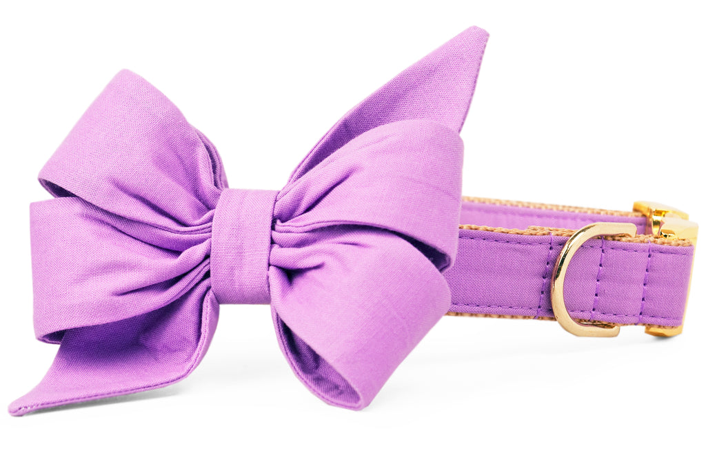 Wisteria Purple Belle Bow™ Dog Collar - Crew LaLa