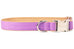 Wisteria Purple Belle Bow™ Dog Collar - Crew LaLa